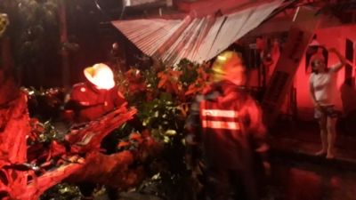 Viviendas destechadas, árboles caídos, dejó torrencial aguacero anoche en Yopal