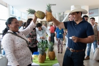 ExpoPiña y ExpoPlátano se inauguran este fin de semana en Unitrópico