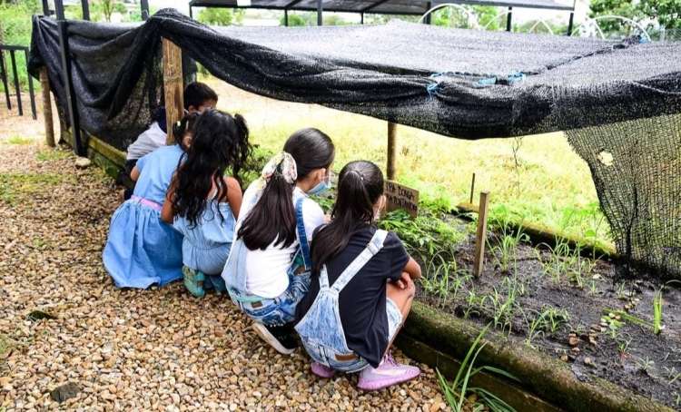 Más de 6.200 estudiantes de Casanare se beneficiaron con el programa Escuelas Eco Ambientales