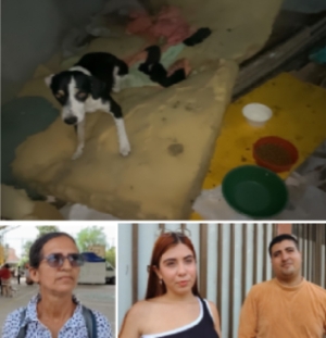 Defensores de los animales denunciaron abanado de mascotas en medio del desalojo de Torres del Silencio