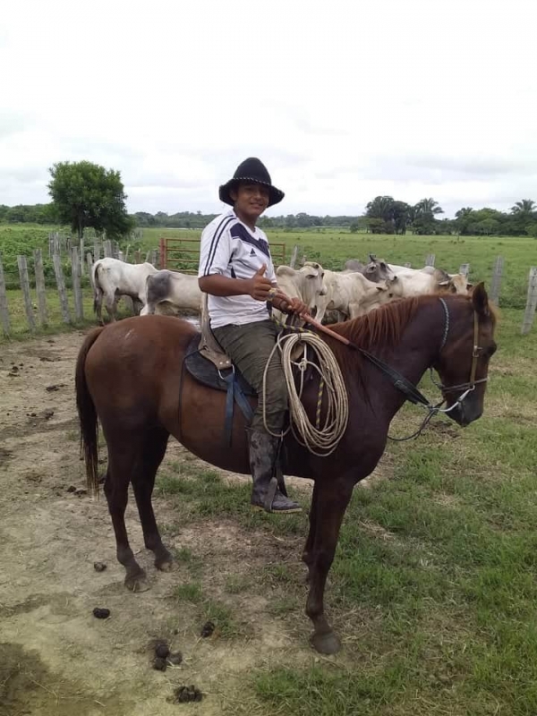 Adolescente de 15 años murió luego de caerse de un caballo en Yopal