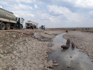Emergencia de posible muerte de Chiguiros es atendida por las autoridades