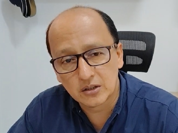 Autoridades trabajan  en la tala del árbol caído que afectó tres viviendas en La Victoria