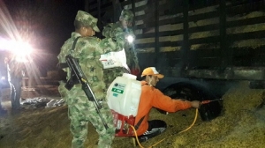 Tracto camión que transportaba arroz desde San Luis de Palenque, accidentalmente se incineró