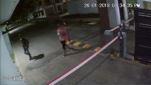 Hasta el perro fue hurtado en una vivienda de conjunto residencial en Yopal