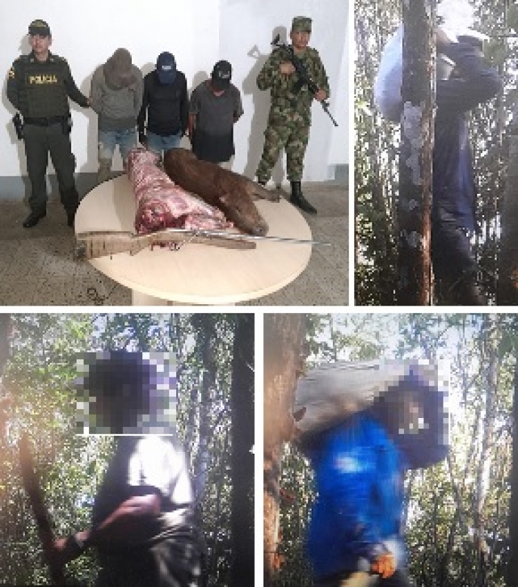 Detenidos tres sujetos que adelantaban caza ilegal en la reserva natural Los Aceites
