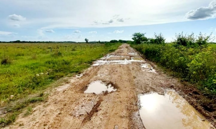 Con mantenimiento a vías buscan mejorar la movilidad de 1000 familias campesinas en San Luis de Palenque