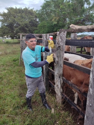 Van 5,6 millones de bovinos y bufalinos vacunados contra fiebre aftosa en el país