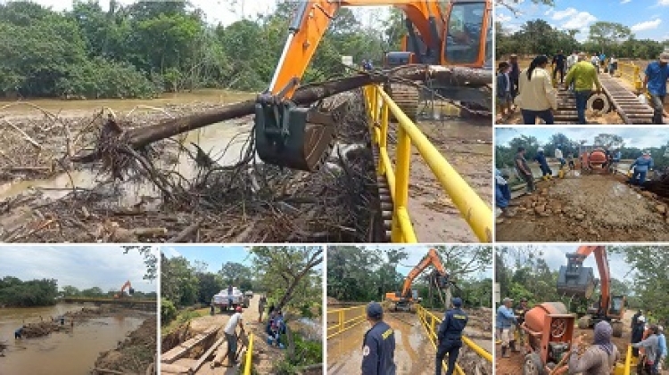 La Consigna: más de 300 toneladas de madera amenazaban con hacer colapsar el puente