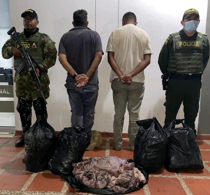 186 Kilogramos de carne de Chigüiro fueron incautados en Paz de Ariporo Casanare