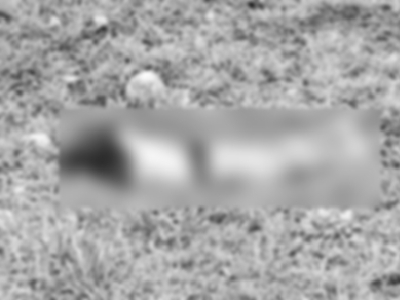 Cuatro homicidios en menos de 24 hora en carretera Tauramena-Aguazul