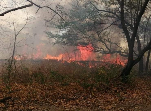 27 incendios forestales se han registrado en Casanare en los tres primeros días del 2022