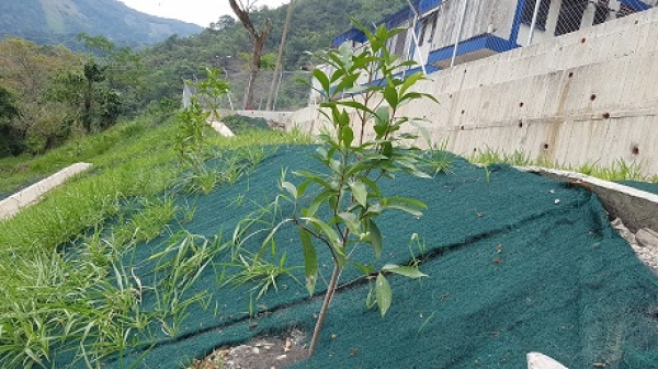 Culminada obra que salva de colapso al colegio de Recetor
