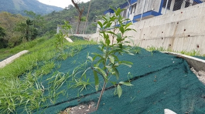 Culminada obra que salva de colapso al colegio de Recetor