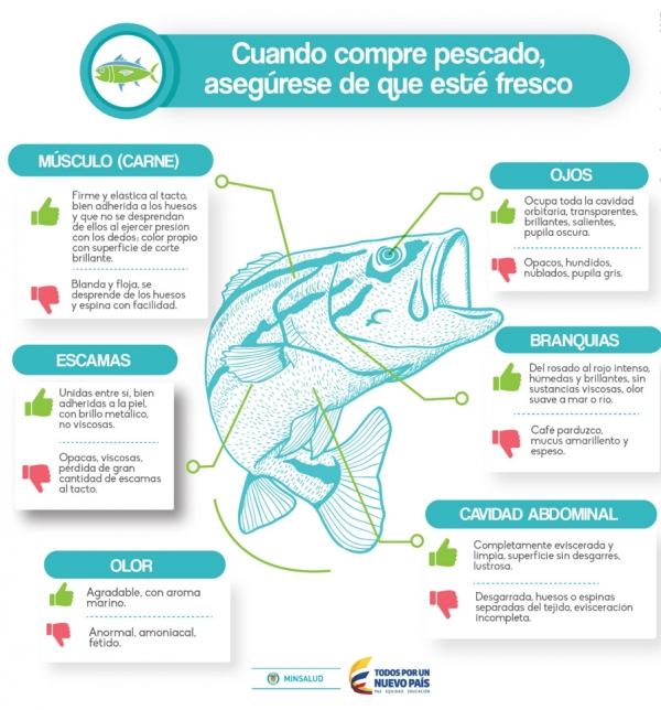 Recomendaciones para el consumo de pescado en la temporada de Semana Santa