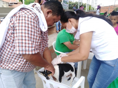 Más de 21mil mascotas han sido vacunadas contra la rabia en Yopal