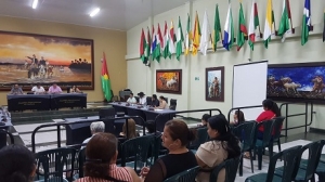 Políticas Públicas de la Mujer y de la Vejez se reanudarán en segunda comisión, en sesiones ordinarias en la DUMA