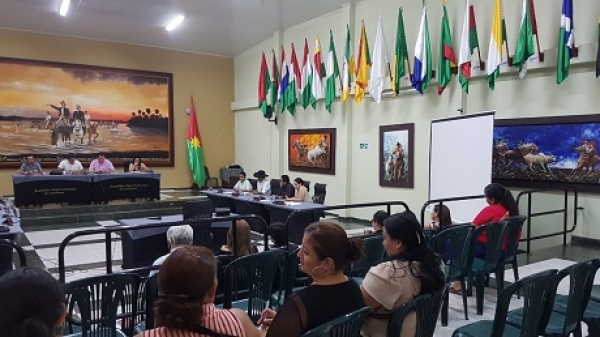 Políticas Públicas de la Mujer y de la Vejez se reanudarán en segunda comisión, en sesiones ordinarias en la DUMA