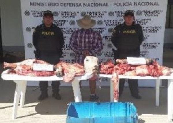 Capturado por hurtarle un bovino a un hombre de la tercera edad