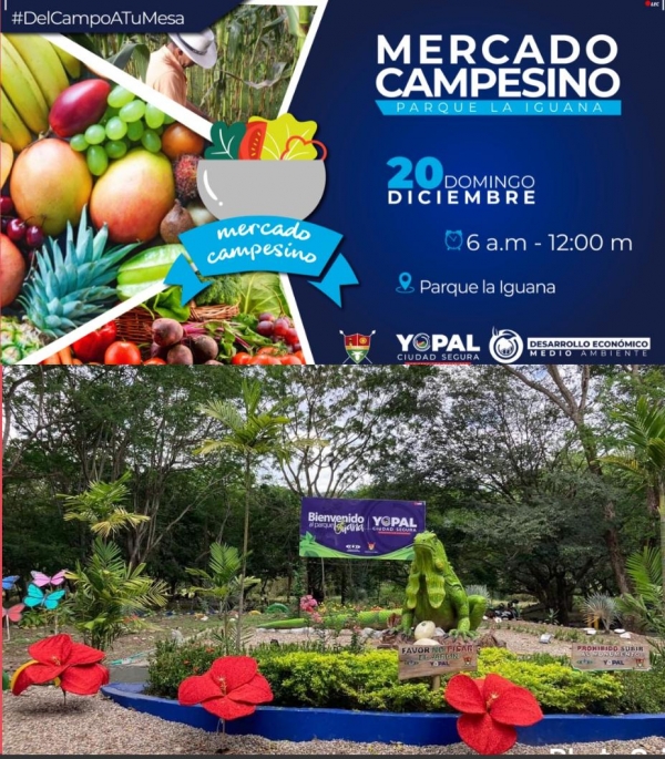 ‘Mercado Campesino’ se realizará el domingo 20 de diciembre en el parque La Iguana de Yopal