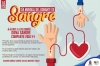 Hoy, Día Mundial del Donante de Sangre