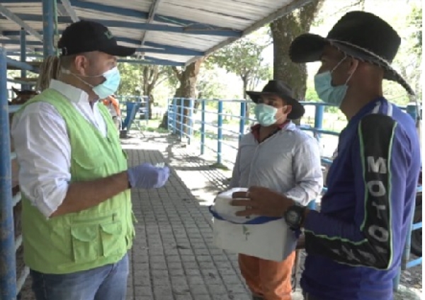 Brotes de rabia y encefalitis equina afectan el sector pecuario en Casanare