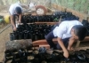 2.000 mil árboles reforestados tiene proyectado entregar este año el Colegio Divino Salvador