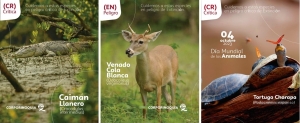 Día mundial de los animales: Tres especies emblemáticas de la fauna casanareña están en peligro de extinción
