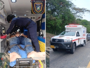 Nuevo ataque de abejas: En Tauramena operario de tractor resultó con múltiples picaduras