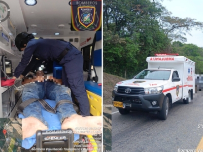 Nuevo ataque de abejas: En Tauramena operario de tractor resultó con múltiples picaduras