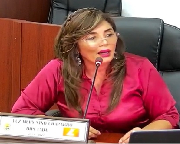 Elección del contralor departamental: Se presentó recusación contra la diputada Luz Mery Niño