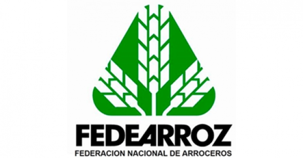 Fedearroz no hace parte de plataformas multinivel para venta de arroz