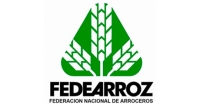 Fedearroz no hace parte de plataformas multinivel para venta de arroz