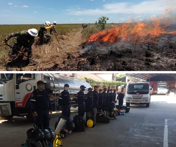 3 mil hectáreas han sido arrasadas por incendio forestal en el Parque El Tuparro