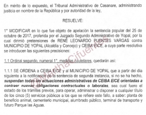 Acabar o no con la Ceiba en manos del Alcalde y el Concejo de Yopal