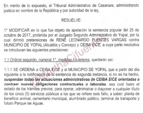Acabar o no con la Ceiba en manos del Alcalde y el Concejo de Yopal