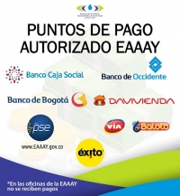 EAAAY insta a pagar servicios en puntos autorizados