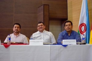 Apelarán fallo que declara nulo Acuerdo que prohíbe exploración sísmica en zona alta de Tauramena