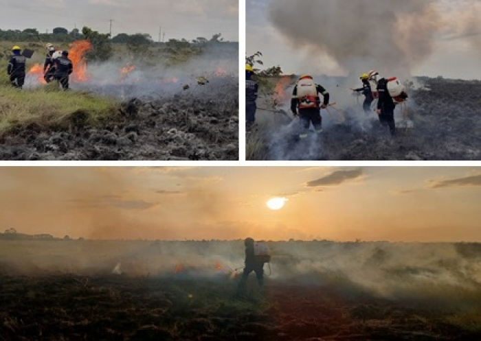 Se fueron las lluvias y regresaron los incendios forestales