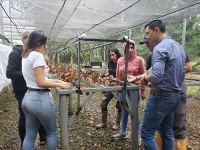 Unitropistas participan en investigación para mejorar sistema productivo del cultivo de cacao en Casanare
