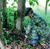 Frustran atentado terrorista en Arauca