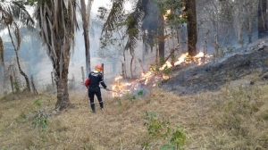Más de 70 mil hectáreas afectadas por incendios forestales en Casanare