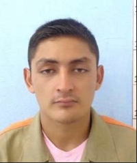 Ladrón de celular tendrá que pagar 8 meses de cárcel