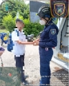 Bomberos reubicó boa constrictor encontrada en instalaciones de una institución educativa de Tauramena
