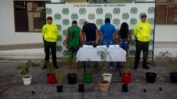 En Yopal, Los Magos entregaban a domicilio los alucinógenos