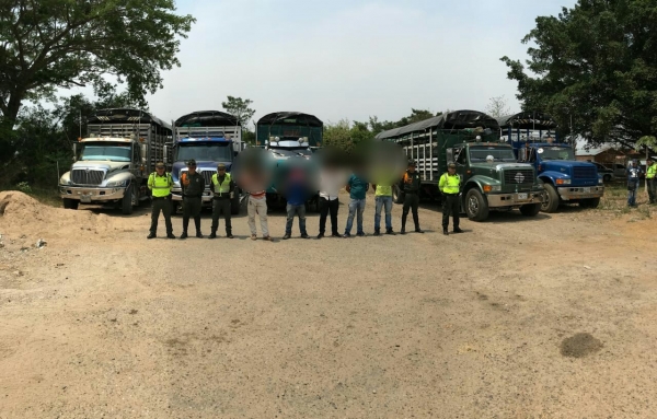 Capturados 5 hombres por transportar ganado de contrabando desde el norte de Casanare