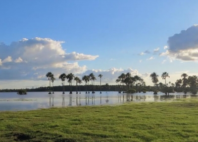Ecopetrol e instituto Humboldt firman alianza por el desarrollo sostenible del Magdalena Medio y Orinoquía
