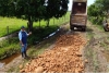 Avanza intervención vial en la vereda Guanábanas de Pore
