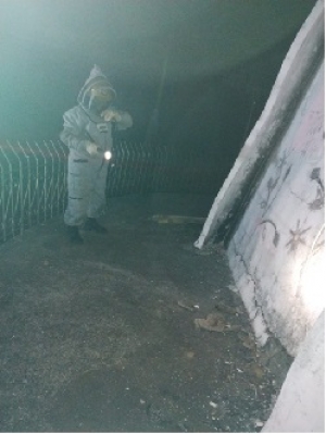 Bomberos atendió emergencia por ataque de abejas cerca del monumento de la Virgen de Manare