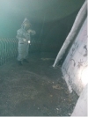 Bomberos atendió emergencia por ataque de abejas cerca del monumento de la Virgen de Manare